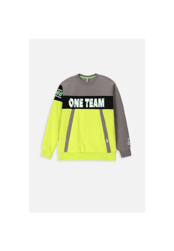 Lemon Explore - Bluza sportowa dla dzieci Lemon Exlopre ZL3 oversize. Kolor: wielokolorowy. Materiał: bawełna, poliester. Wzór: nadruk. Sport: joga i pilates