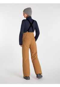 Spodnie narciarskie, snowboardowe dziecięce Protest SPIKET JR snowpants. Kolor: brązowy, wielokolorowy, pomarańczowy. Sport: snowboard, narciarstwo