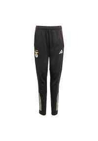 Adidas - Spodnie Benfica Tiro 25 Competition Training Kids. Kolor: czarny