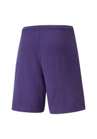 Puma - Męskie Spodenki Dresowe TeamRISE. Kolor: fioletowy. Materiał: dresówka