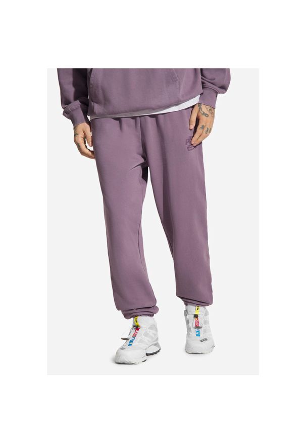 Spodnie dresowe męskie Prosto Flathead. Kolor: fioletowy. Materiał: dresówka