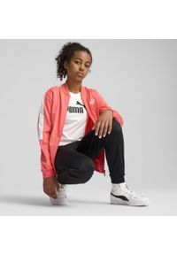 Puma - Młodzieżowy dres Poly Baseball PUMA Peach Frost Red. Kolor: czerwony. Materiał: dresówka. Wzór: nadruk. Styl: młodzieżowy