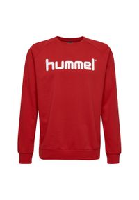 Bluza do piłki ręcznej dla dzieci Hummel Cotton Logo. Kolor: czerwony, różowy, wielokolorowy. Materiał: prążkowany. Sport: fitness