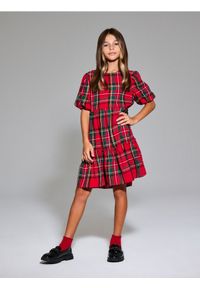 Sinsay - Sukienka babydoll w kratę - czerwony. Kolor: czerwony #1