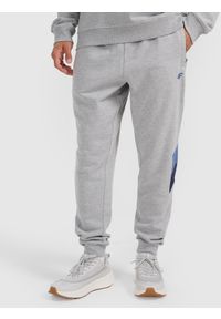 4f - 4F Spodnie dresowe joggery męskie - szare XXL. Kolor: szary. Materiał: dresówka. Sport: fitness, bieganie, turystyka piesza #2