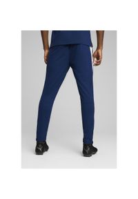 Puma - Męskie spodnie treningowe Portugalia PUMA Persian Blue Sugared Almond Beige. Kolor: wielokolorowy, beżowy, niebieski