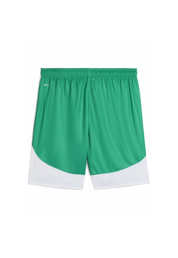Puma - Męskie szorty piłkarskie SK Rapid Wiedeń PUMA Sport Green White. Kolor: biały, wielokolorowy, zielony. Sport: piłka nożna