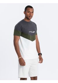 Ombre Clothing - T-shirt męski bawełniany trójkolorowy z logo - grafitowo-oliwkowy V9. Kolor: szary. Materiał: bawełna. Długość rękawa: krótki rękaw. Długość: krótkie. Wzór: nadruk, geometria. Styl: klasyczny #1