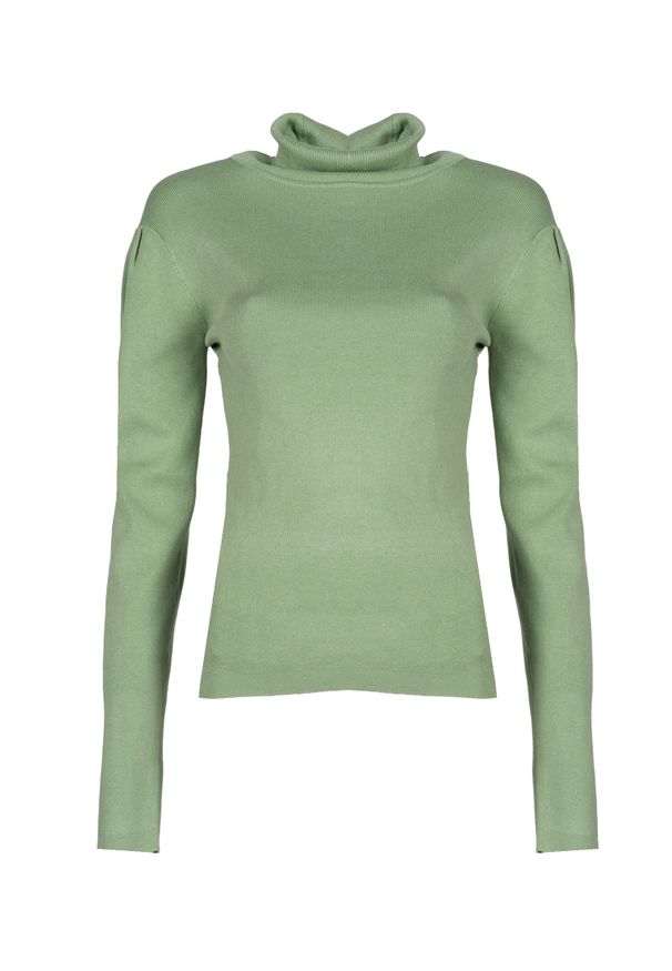 Silvian Heach Sweter "Citron" | PGA22060LU | Citron | Kobieta | Zielony. Okazja: na co dzień. Typ kołnierza: golf. Kolor: zielony. Materiał: nylon, wiskoza. Styl: casual