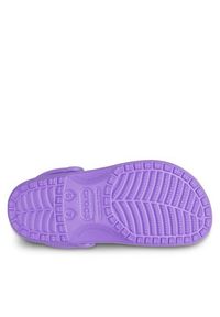 Crocs Klapki Classic Clog 10001 Fioletowy. Kolor: fioletowy