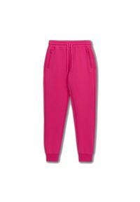 PITBULL - Spodnie damskie Pitbull Discovery Track Pants. Kolor: różowy. Sport: fitness