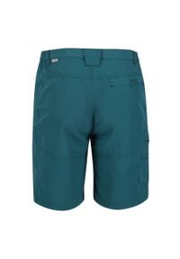 TRESPASS - Shorty Męskie Camowen. Kolor: zielony