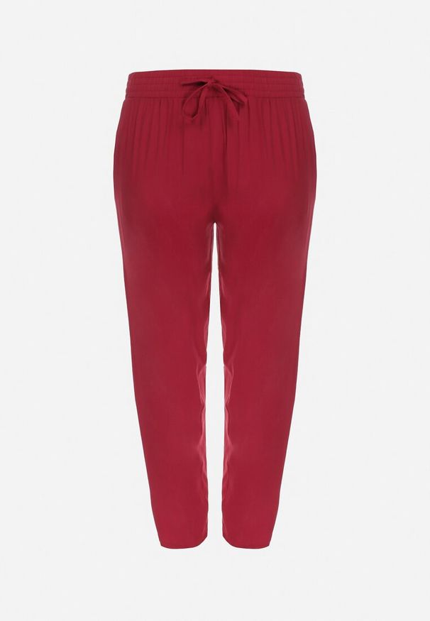 Born2be - Bordowe Spodnie z Gumką w Pasie i Wsuwanymi Kieszeniami Adantha. Okazja: na co dzień. Kolekcja: plus size. Kolor: czerwony. Materiał: wiskoza. Styl: elegancki, casual