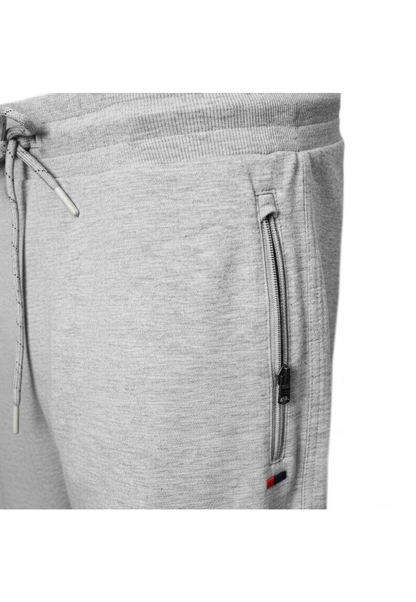 Wygodne i Lekkie Męskie Spodnie Dresowe - Pako Jeans - Popielate. Kolor: szary. Materiał: wiskoza, bawełna. Styl: sportowy
