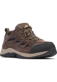 columbia - Buty trekkingowe męskie Columbia Crestwood Waterproof. Kolor: brązowy, wielokolorowy. Materiał: skóra, materiał. Szerokość cholewki: normalna