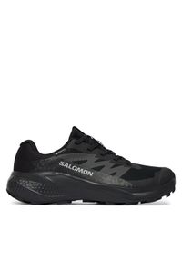 salomon - Salomon Buty do biegania Alphaglide Gtx W L49214400 Granatowy. Kolor: niebieski. Materiał: materiał #1