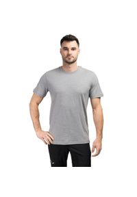 Koszulka trekkingowa męska Smartwool Short Sleeve Tee Slim Fit. Kolor: szary #1