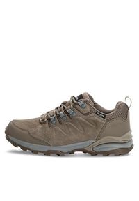 Jack Wolfskin Trekkingi Refugio Texapore Low W 4050821 Brązowy. Kolor: brązowy. Materiał: skóra