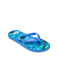Quiksilver - Klapki dla Mężczyzn MOLOKAI ART 25 Niebieski. Kolor: niebieski. Materiał: materiał, syntetyk, guma. Szerokość cholewki: normalna. Sport: fitness, pływanie