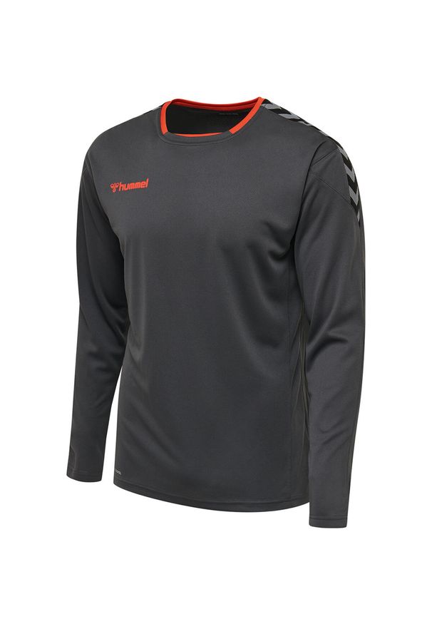 Hummel koszulka męska z długim rękawem hml Authentic Poly Jersey. Kolor: szary. Materiał: jersey. Długość rękawa: długi rękaw. Długość: długie. Sport: fitness