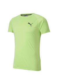 Koszulka sportowa męska Puma Rtg Tee Sharp. Kolor: zielony