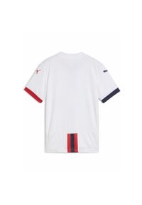 Puma - Młodzieżowa koszulka wyjazdowa SK Rapid Wiedeń 24/25 PUMA White Red Navy Blue. Kolor: biały, czerwony, wielokolorowy, niebieski