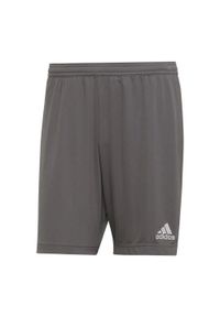 Adidas - Spodenki piłkarskie męskie adidas Entrada 22. Kolor: szary, biały, wielokolorowy. Materiał: poliester. Sport: piłka nożna