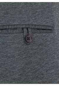 Pako Lorente - PAKO LORENTE – Szare casualowe spodnie męskie. Okazja: na co dzień. Kolor: szary. Materiał: poliester, elastan, wełna, nylon, wiskoza. Styl: casual #4