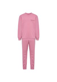 Dziecięcy dres Hummel Base. Okazja: na uczelnię. Kolor: różowy. Materiał: dresówka. Wzór: nadruk. Styl: sportowy #1