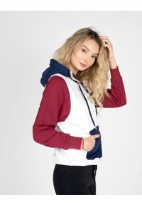 Invicta Bluza "Hoodie" | 4454270 | Kobieta | Biały, Czerwony, Granatowy. Okazja: na co dzień. Typ kołnierza: kaptur. Kolor: niebieski, biały, wielokolorowy, czerwony. Materiał: bawełna. Styl: casual #3