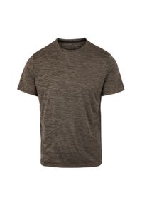Regatta - T-shirt Męski Melanżowy Fingal Edition. Kolor: brązowy. Wzór: melanż
