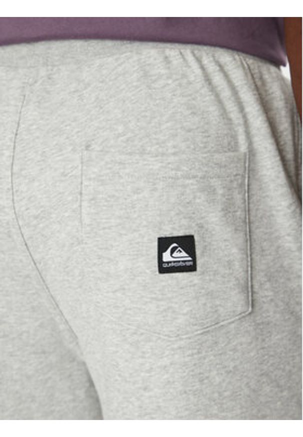 Quiksilver Spodnie dresowe Salt Water EQYFB03391 Szary Regular Fit. Kolor: szary. Materiał: bawełna