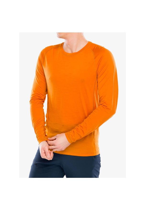 Bluza bez kaptura męska Smartwool Merino Sport Ultralite L/S. Typ kołnierza: bez kaptura. Kolor: pomarańczowy