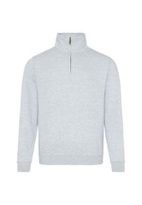 AWDIS - Bluza Męska Sophomore Quarter Zip. Kolor: szary
