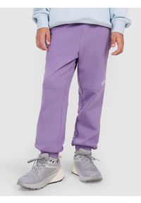 4f - 4F Spodnie dresowe joggery chłopięce - fioletowe 140 (9-10 lat). Okazja: na co dzień. Kolor: fioletowy. Materiał: dresówka. Wzór: ze splotem, gładki. Sezon: lato. Styl: młodzieżowy, sportowy, casual #2