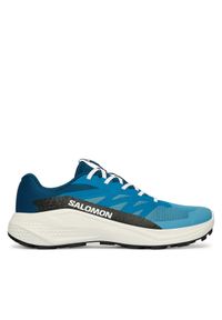 salomon - Salomon Buty do biegania Alphaglide L48000400 Niebieski. Kolor: niebieski. Materiał: materiał #1