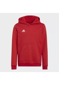 Adidas - Bluza piłkarska dla dzieci adidas Entrada 22 Hoody. Kolor: czerwony. Sport: piłka nożna