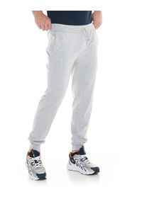 LEONE 1947 APPAREL - Męskie spodnie sportowe z małym logo. Kolor: szary. Materiał: tkanina. Sport: fitness