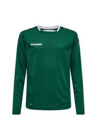 Dziecięcy dżersej z długim rękawem Hummel hmlAUTHENTIC poly. Kolor: zielony. Materiał: jersey. Długość rękawa: długi rękaw. Długość: długie. Sport: fitness, piłka ręczna