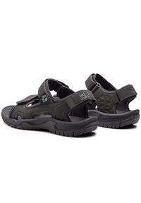 Jack Wolfskin Sandały Lakewood Cruise Sandal M 409011 Szary. Kolor: szary. Materiał: skóra #3