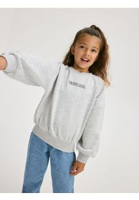 Reserved - Bluza z haftem - jasnoszary. Kolor: szary. Materiał: bawełna. Wzór: haft #1