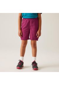 Regatta - Spodenki turystyczne dziecięce Sorcer. Kolor: niebieski. Materiał: tkanina, elastan. Styl: sportowy. Sport: turystyka piesza #1