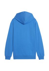 Puma - Bluza Z Kapturem Dziecięca Team Goal Casuals. Typ kołnierza: kaptur. Kolor: niebieski. Sport: joga i pilates #2