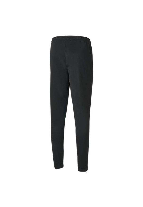 Spodnie fitness męskie Puma teamRISE Poly Training. Kolor: czarny. Sport: fitness