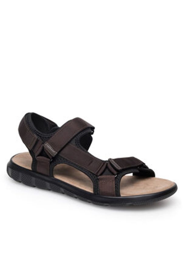 Lanetti Sandały MSS20230-13 Brązowy. Kolor: brązowy. Materiał: syntetyk