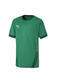 Puma - Koszulka Dziecięca TeamGoal 23. Kolor: zielony