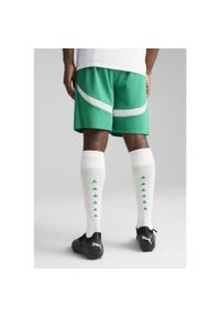 Puma - Męskie szorty Senegal 2025 PUMA Sport Green White. Kolor: biały, wielokolorowy, zielony. Wzór: aplikacja