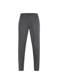 Damskie spodnie dresowe Jako Power. Kolor: wielokolorowy, szary, brązowy. Materiał: dresówka. Sport: piłka nożna #2