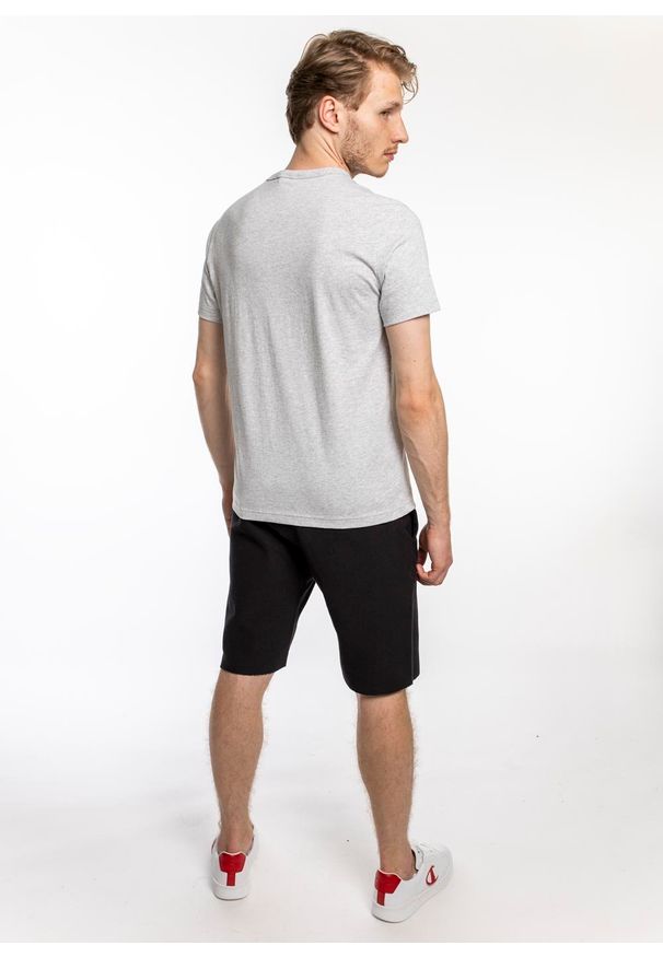 Koszulka Champion Premium Small C Logo T-Shirt (214674-EM004). Kolor: szary. Materiał: materiał