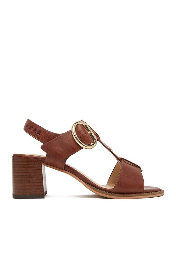 Sandały Beverly Hills Polo Club. Kolor: brązowy